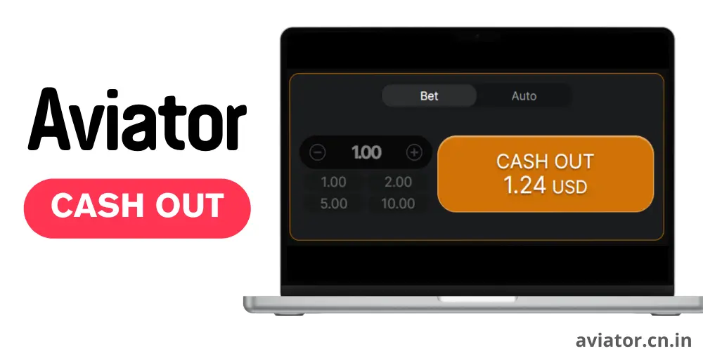 Decide when to cash out in Aviator game