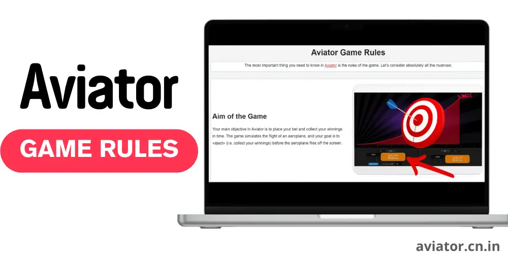 Rules of the Aviator online game